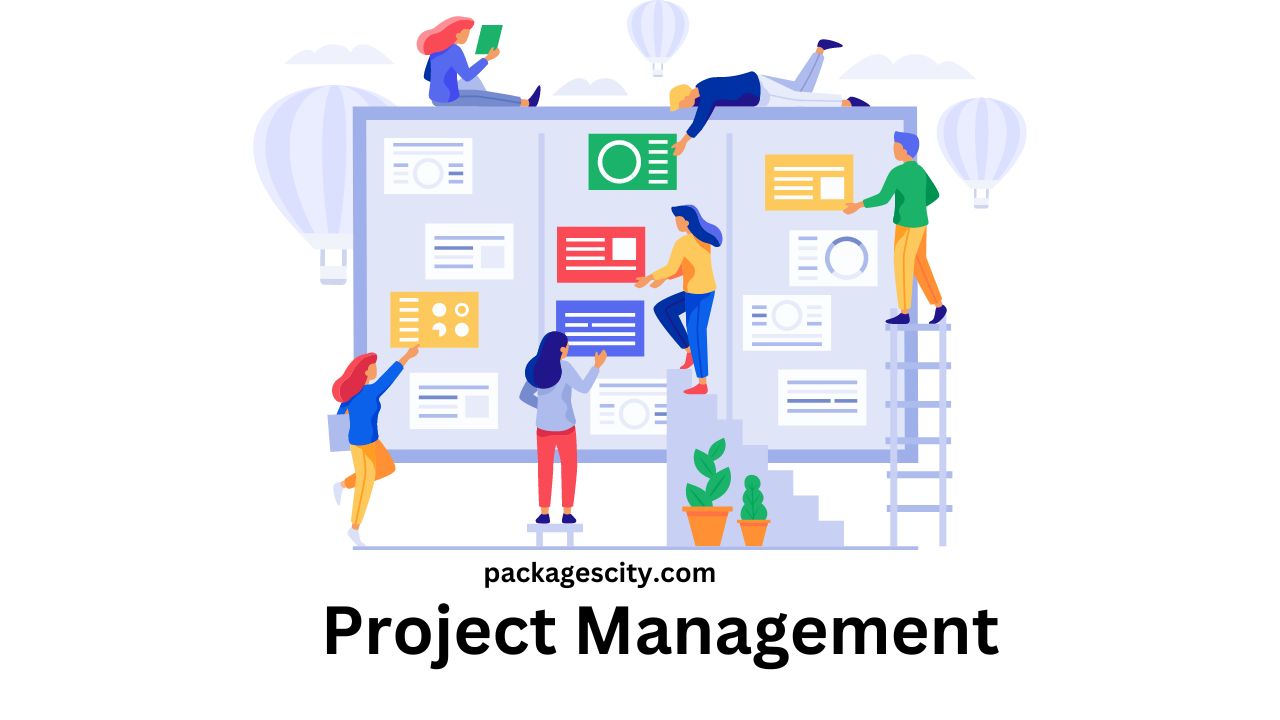 Project Management